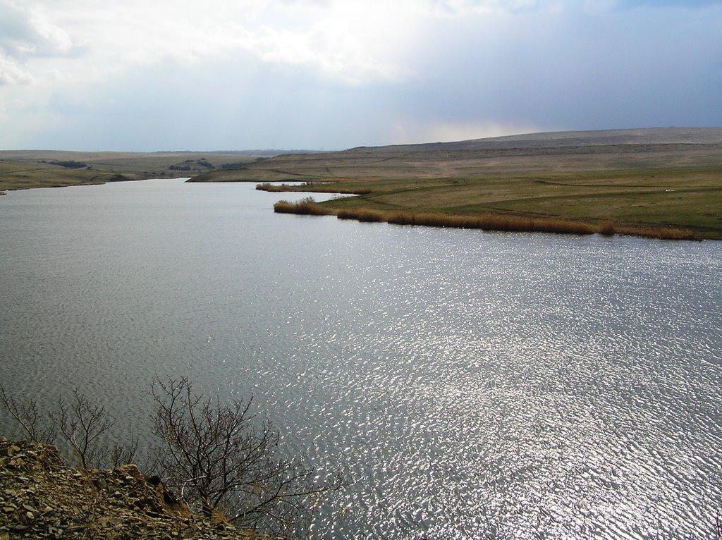 Королівка з panoramio.com - Королевка