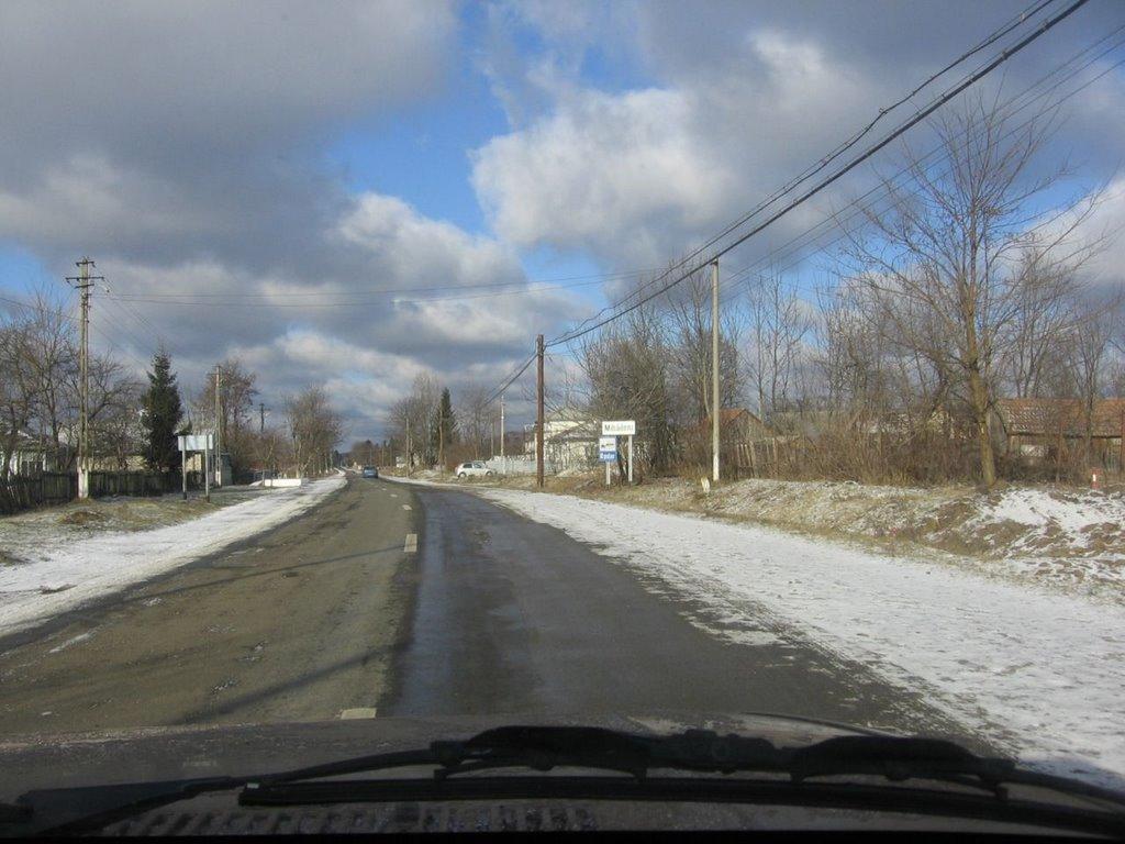 Нижні Синівці з panoramio.com - Нижні Синівці