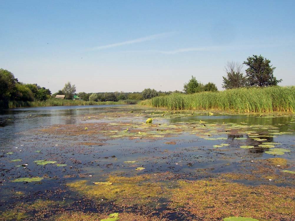 Лихачівка з panoramio.com - Лихачівка