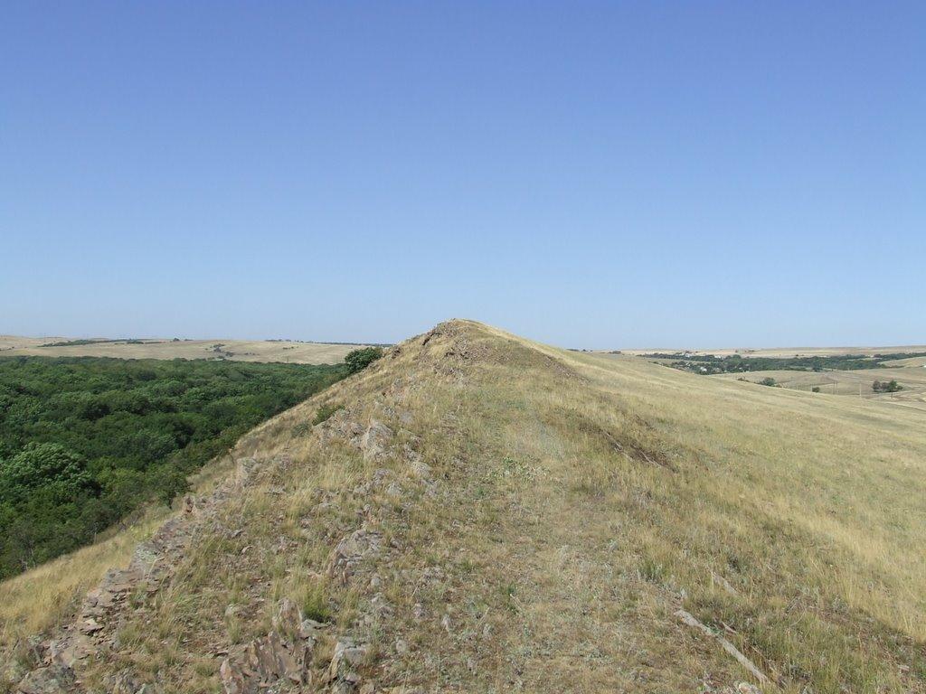 Черемшине з panoramio.com - Черемшино