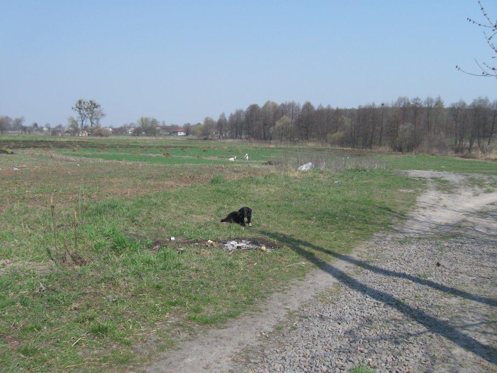 Ясногородка з panoramio.com - Ясногородка