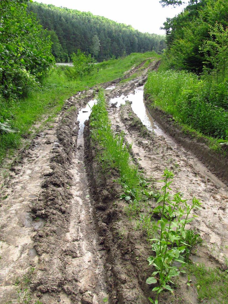 Маркова з panoramio.com - Маркова