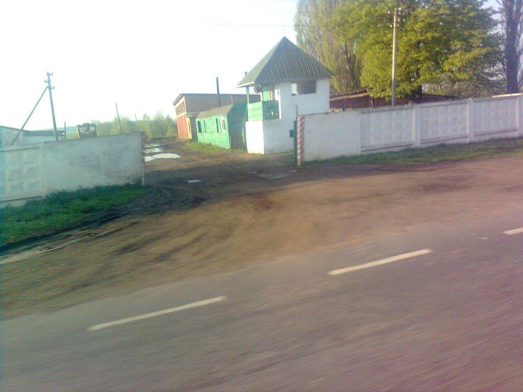 Мовчанів з panoramio.com - Мовчанів