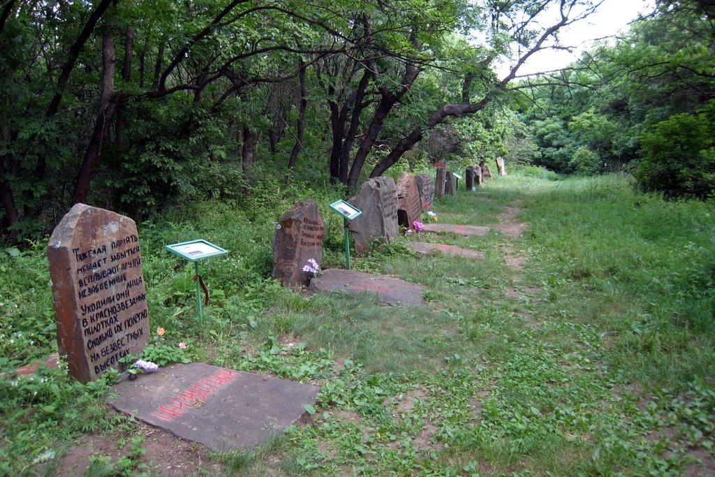 Маломиколаївка з panoramio.com - Маломиколаївка