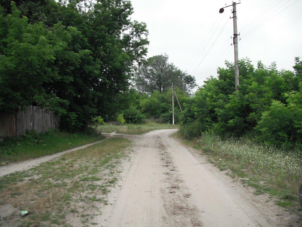 Любитове з panoramio.com - Любитово