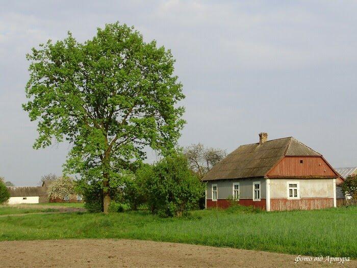 Звози з panoramio.com - Zvozy