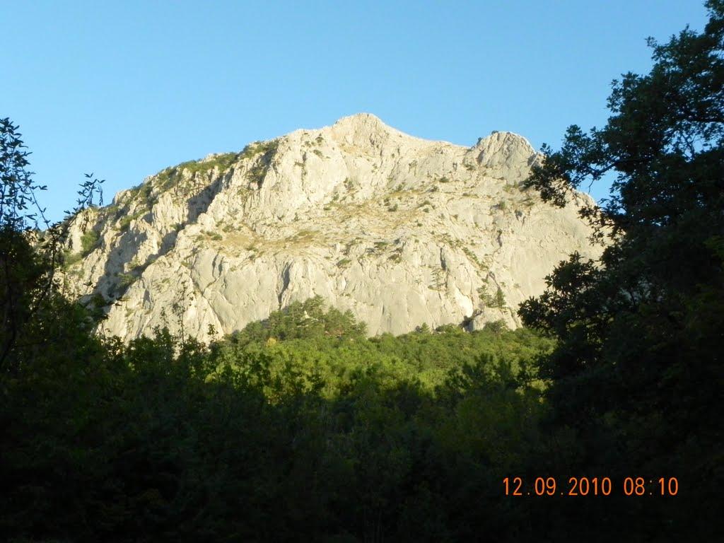 Олива з panoramio.com - Olyva