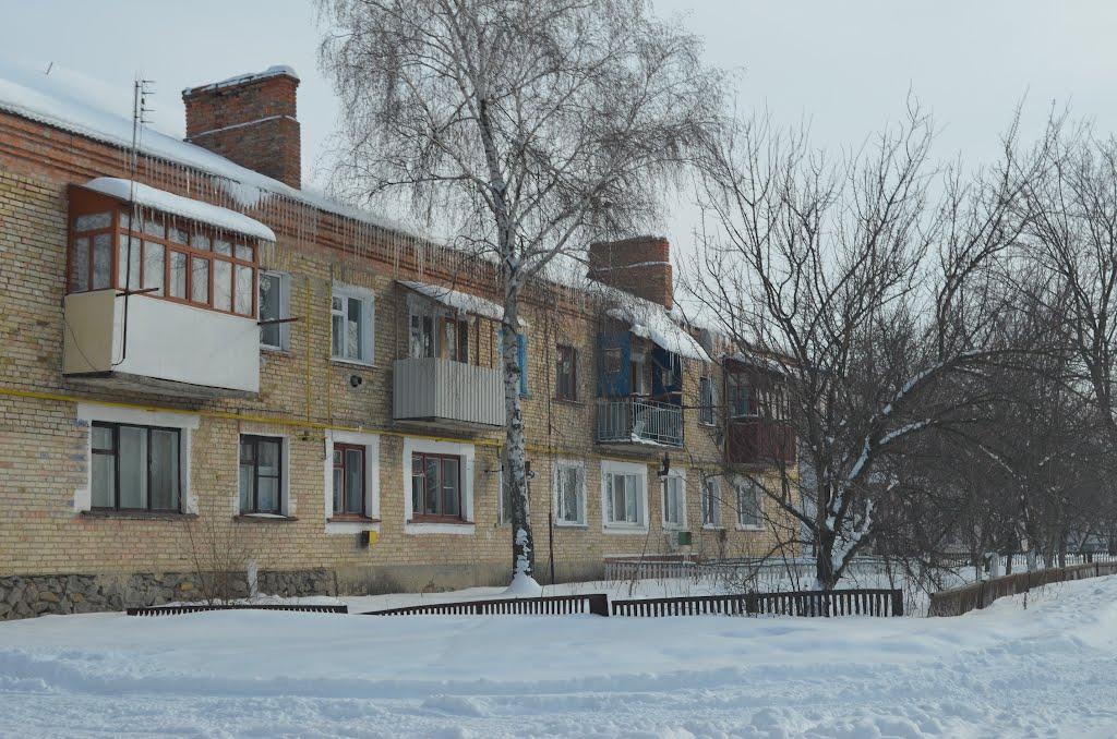 Старі Бабани з panoramio.com - Старые Бабаны