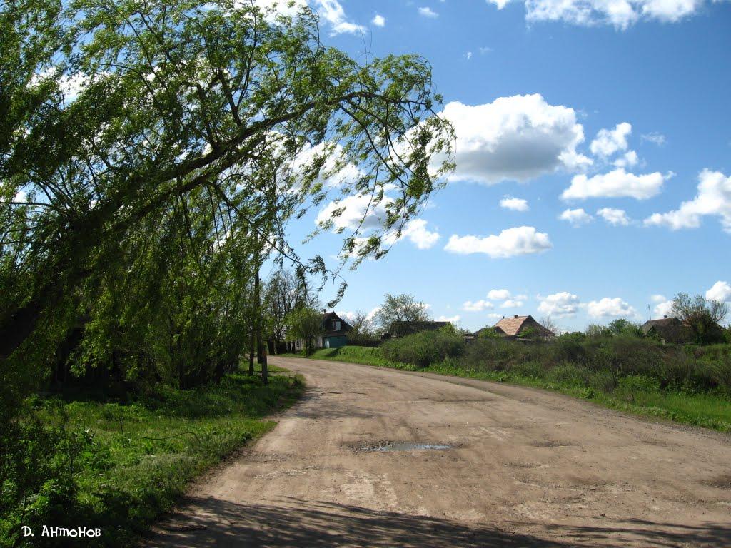 Гурівка з panoramio.com - Гурівка