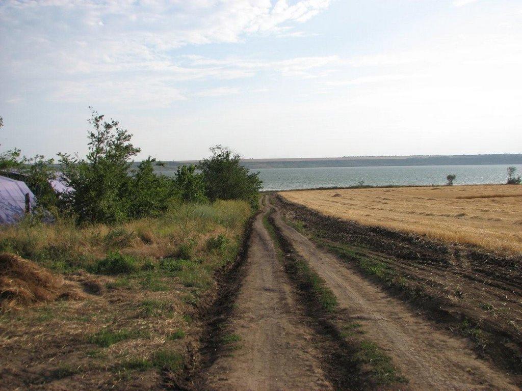 Протопопівка з panoramio.com - Протопоповка