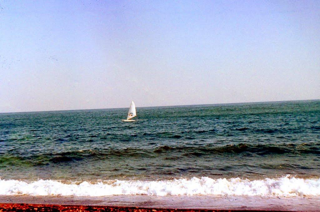 Долина з panoramio.com - Долина