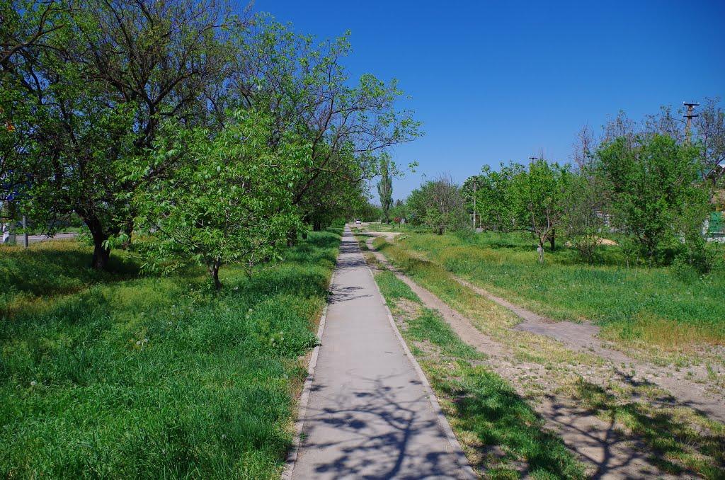 Комсомольське з panoramio.com - Комсомольське