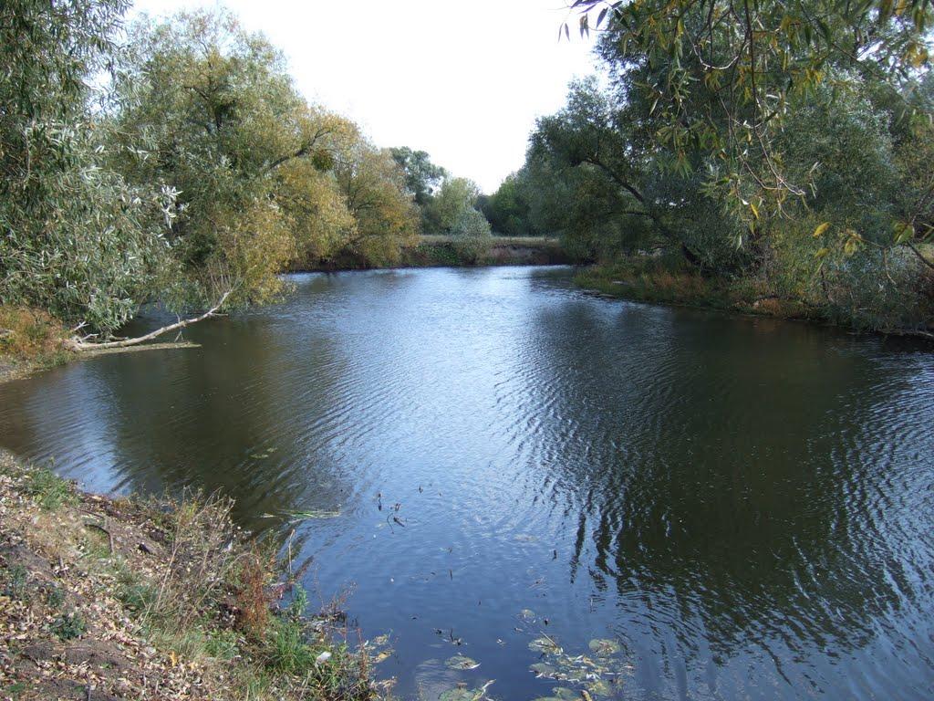 Острів з panoramio.com - Острів