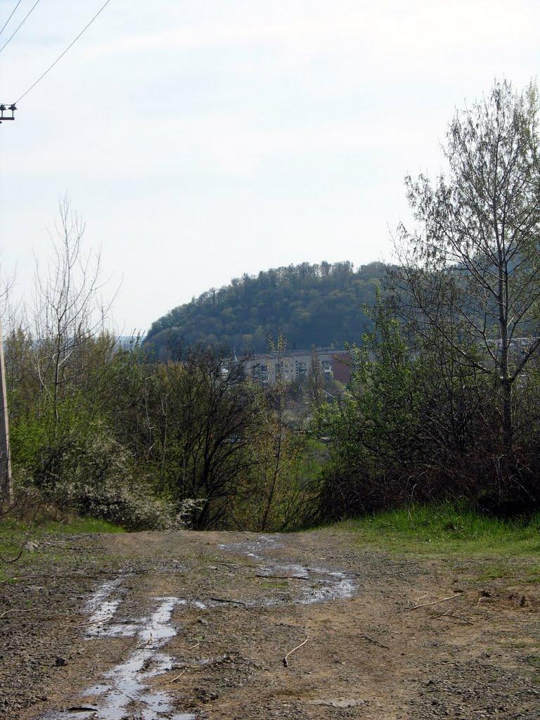 Кольчино з panoramio.com - Кольчино