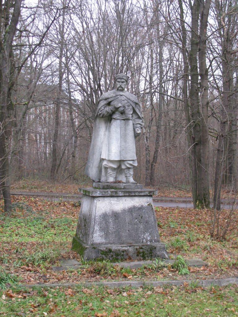 Брюховичі з panoramio.com - Брюховичи