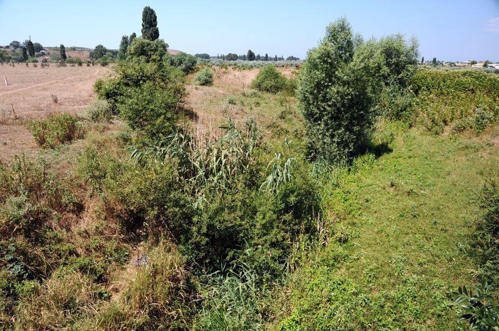 Розсадне з panoramio.com - Rozsadne