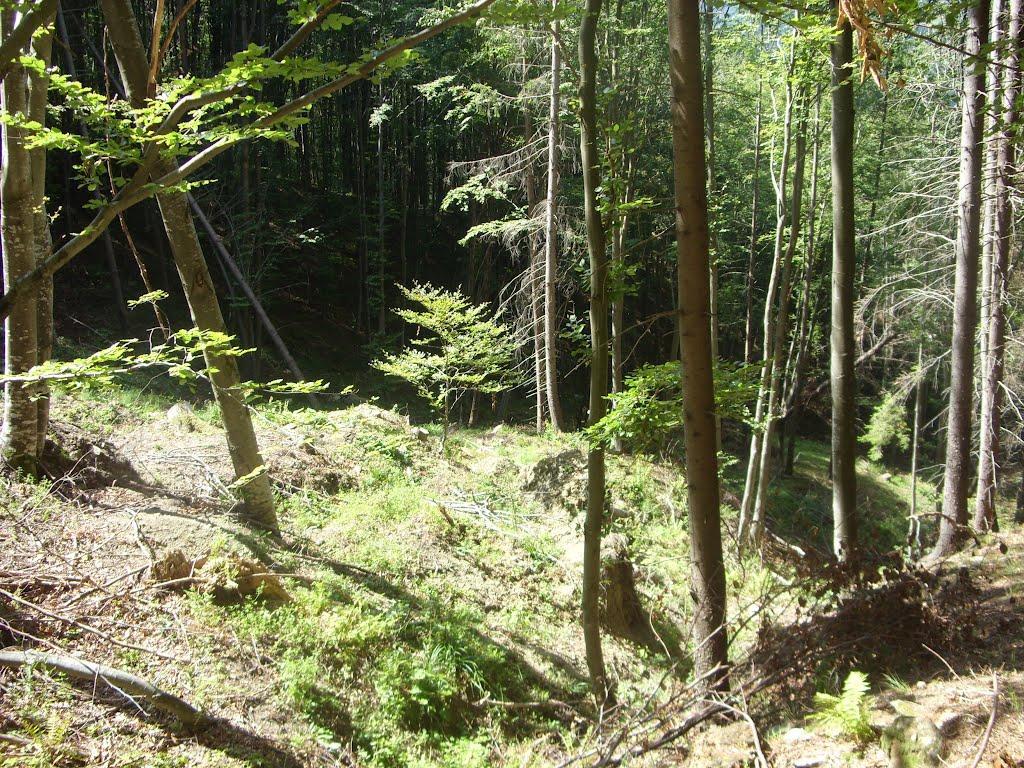Фальків з panoramio.com (ч.2) - Фальків