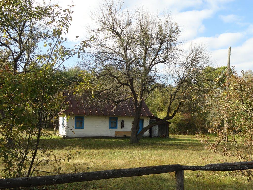 Виликий Обзир з panoramio.com - Виликий Обзир