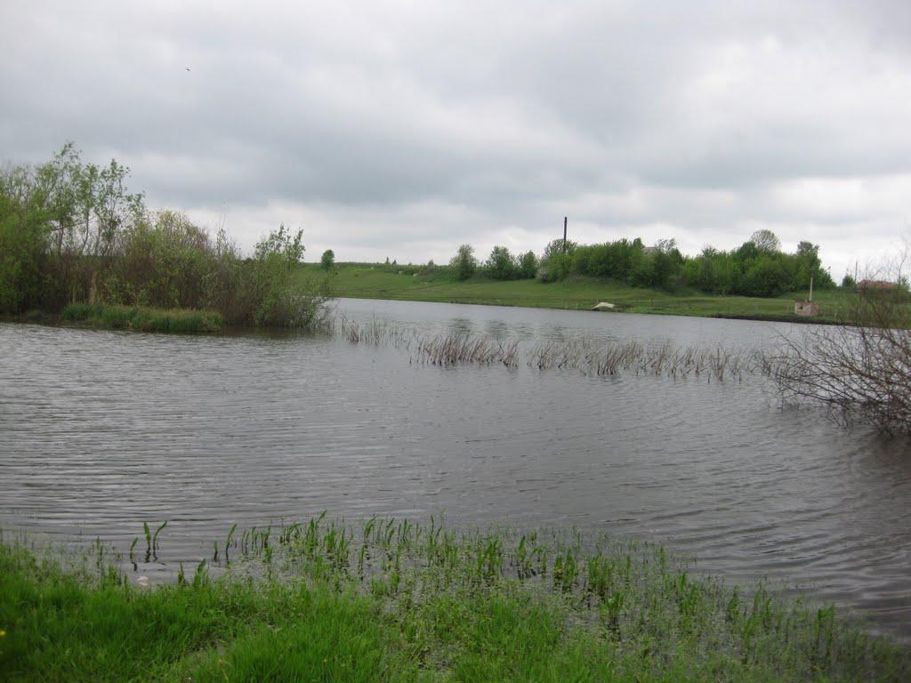 Черепашинці з panoramio.com - Черепашинцы