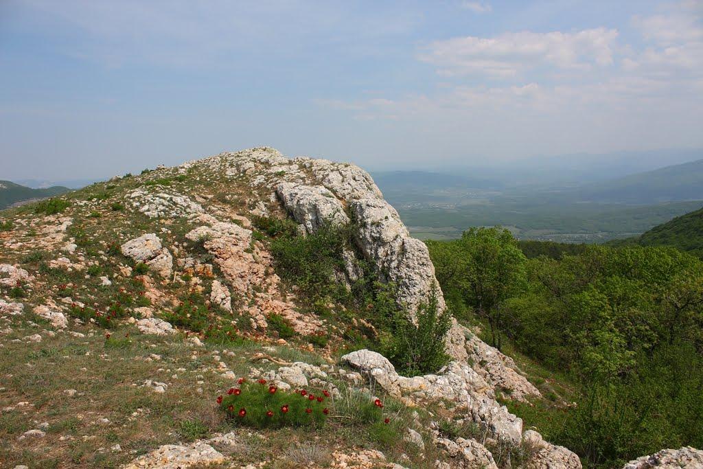 Багата Ущелина з panoramio.com - Bagata Uschelyna
