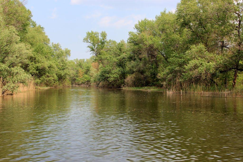 Канівське з panoramio.com - Каневское