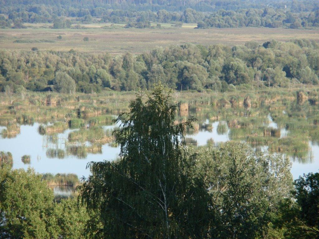 Яшники з panoramio.com - Яшники