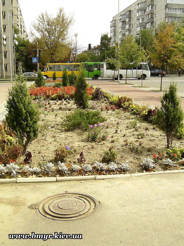Вишневе з panoramio.com - Вишневое