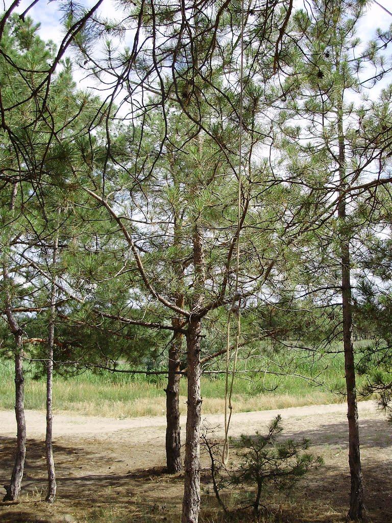 Раденськ з panoramio.com - Раденск