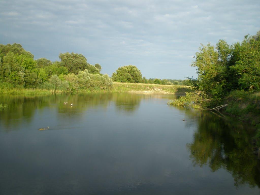 Чаплищі з panoramio.com - Chaplyschi