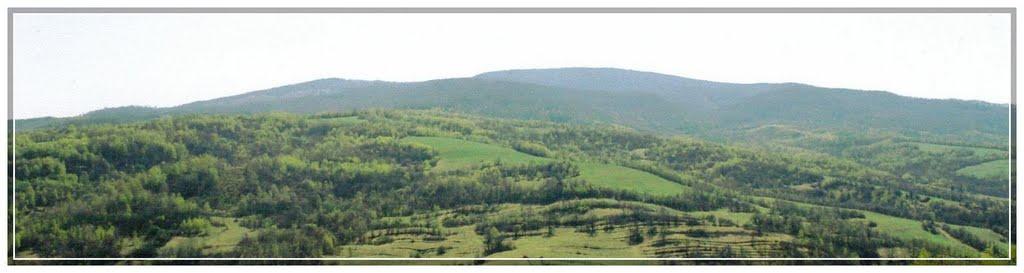 Стричава з panoramio.com - Strychava