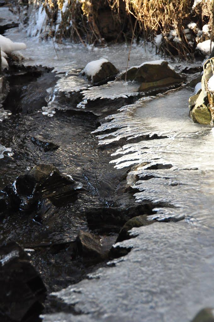 Глібовичі з panoramio.com - Глібовичі