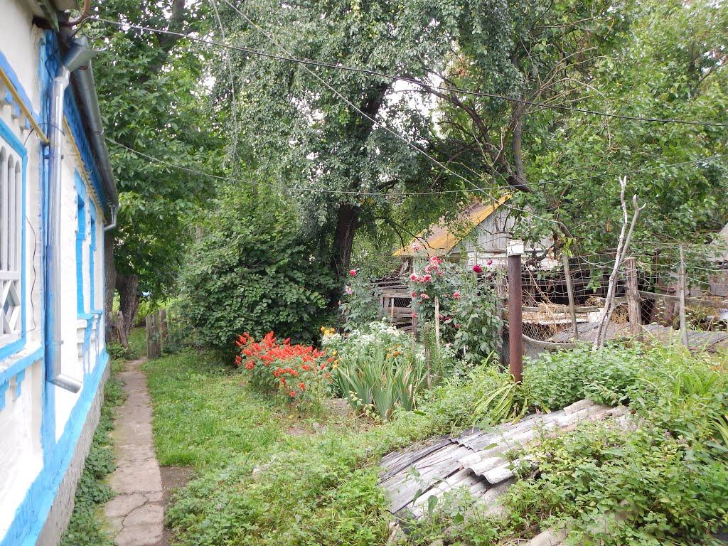 Черемошне з panoramio.com - Черемошне