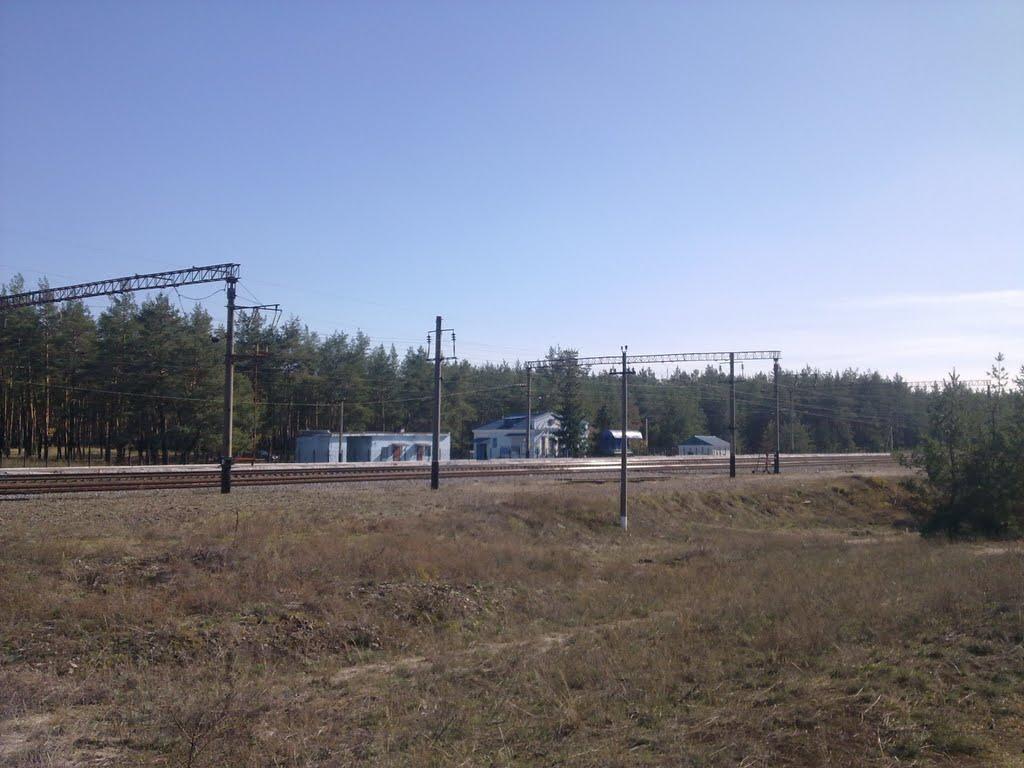 Кримки з panoramio.com - Кримки