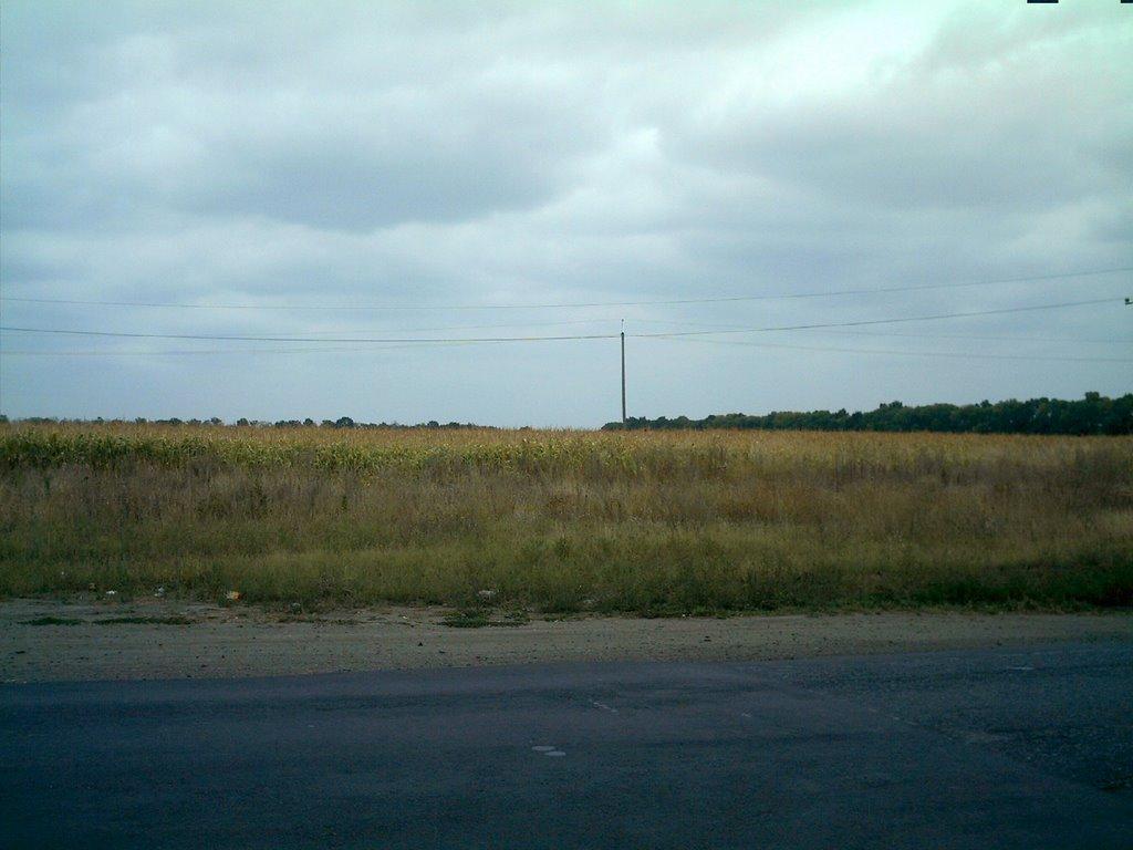 Ківшарівка з panoramio.com - Ківшарівка