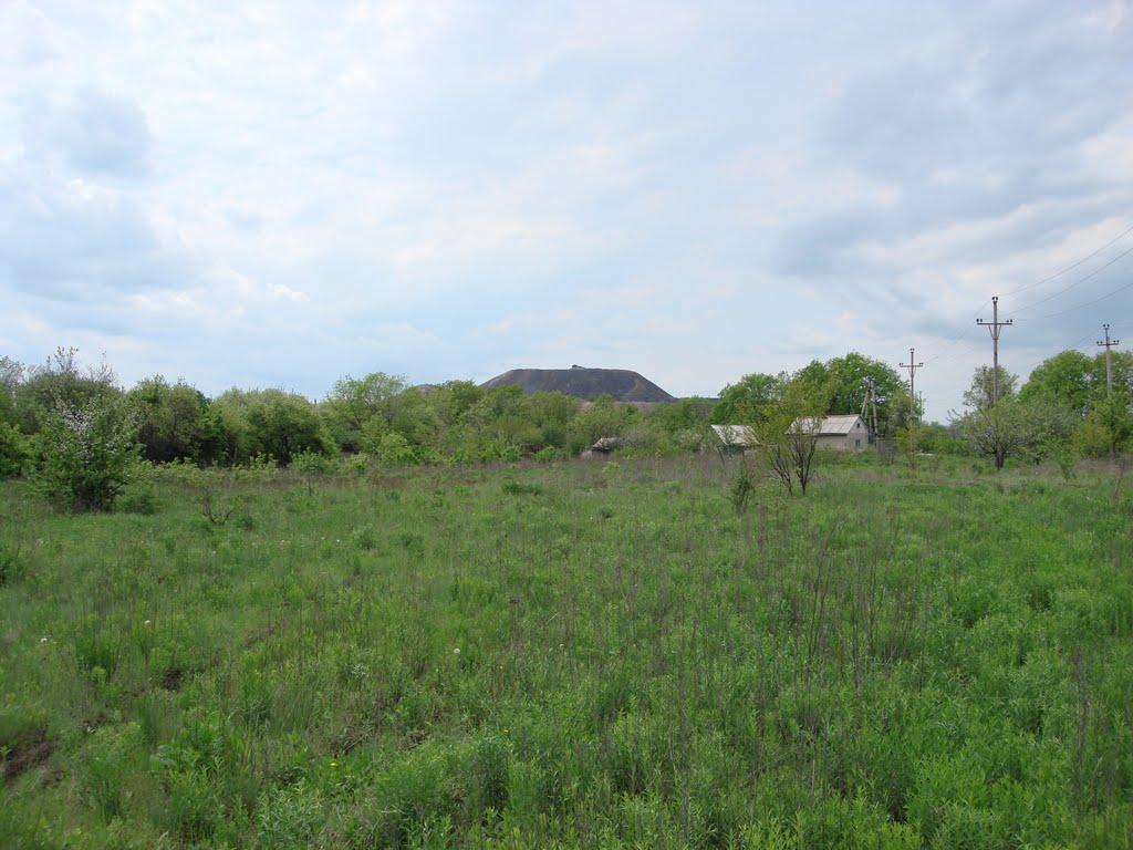 Дубівський з panoramio.com