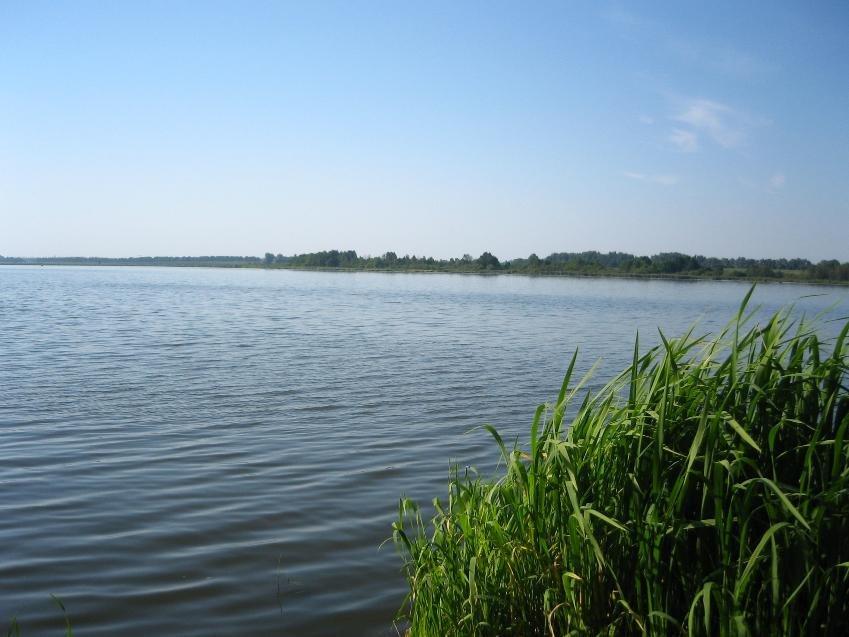 Малинівка з panoramio.com - Малинівка