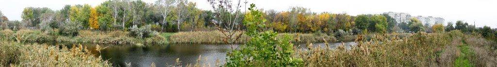 Токмак з panoramio.com - Токмак