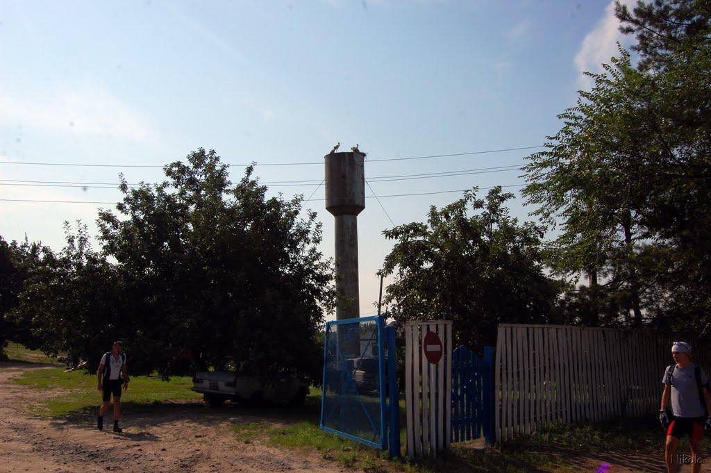 Кряківка з panoramio.com - Кряковка