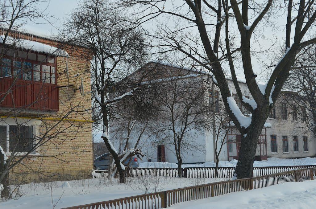 Старі Бабани з panoramio.com - Старые Бабаны