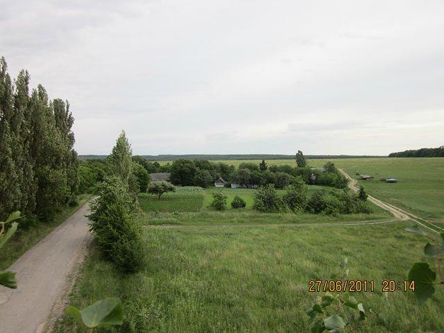 Великий Жванчик з panoramio.com - Великий Жванчик