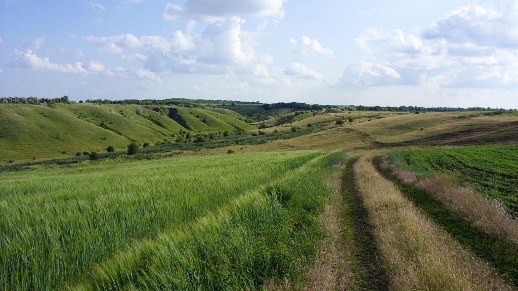 Заможнє з panoramio.com - Заможное