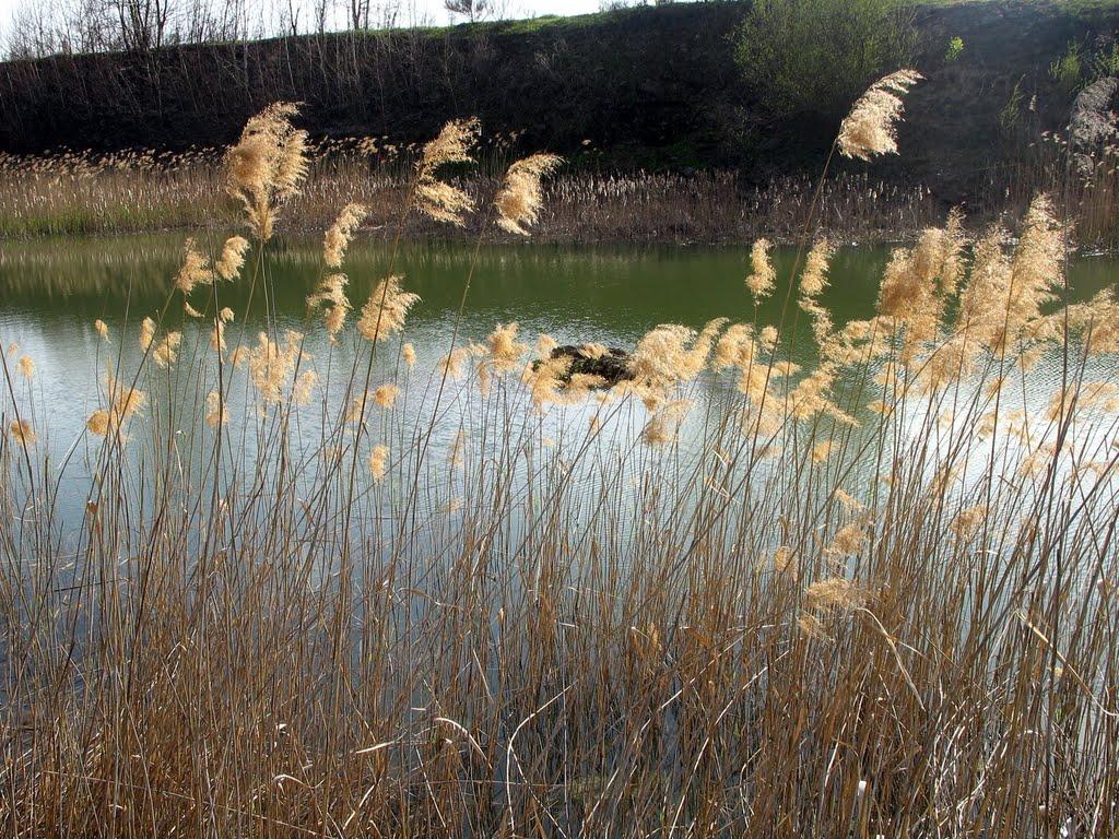 Кольчино з panoramio.com - Кольчино