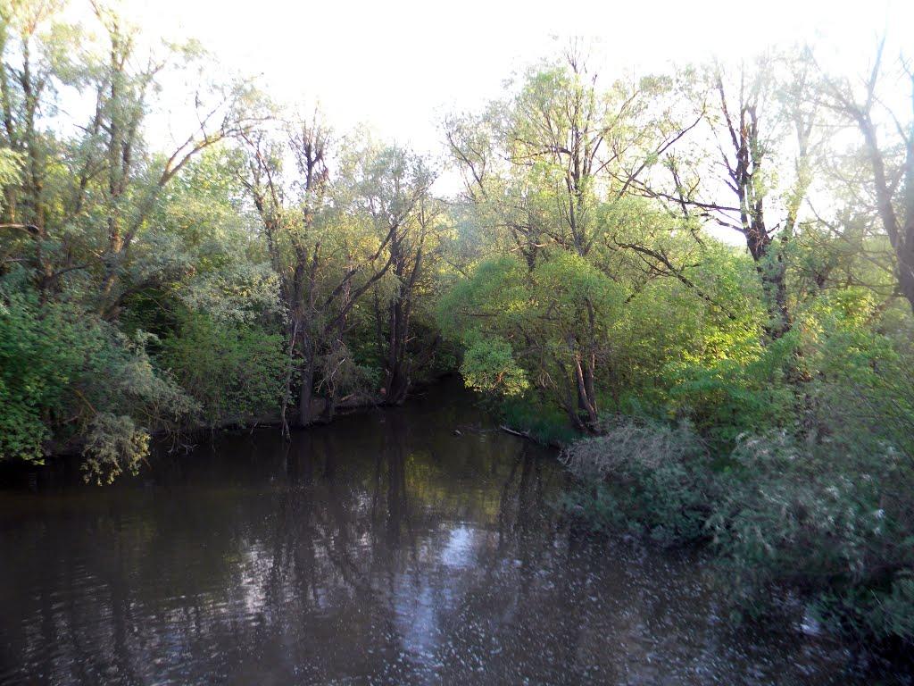 Лозова з panoramio.com - Лозова