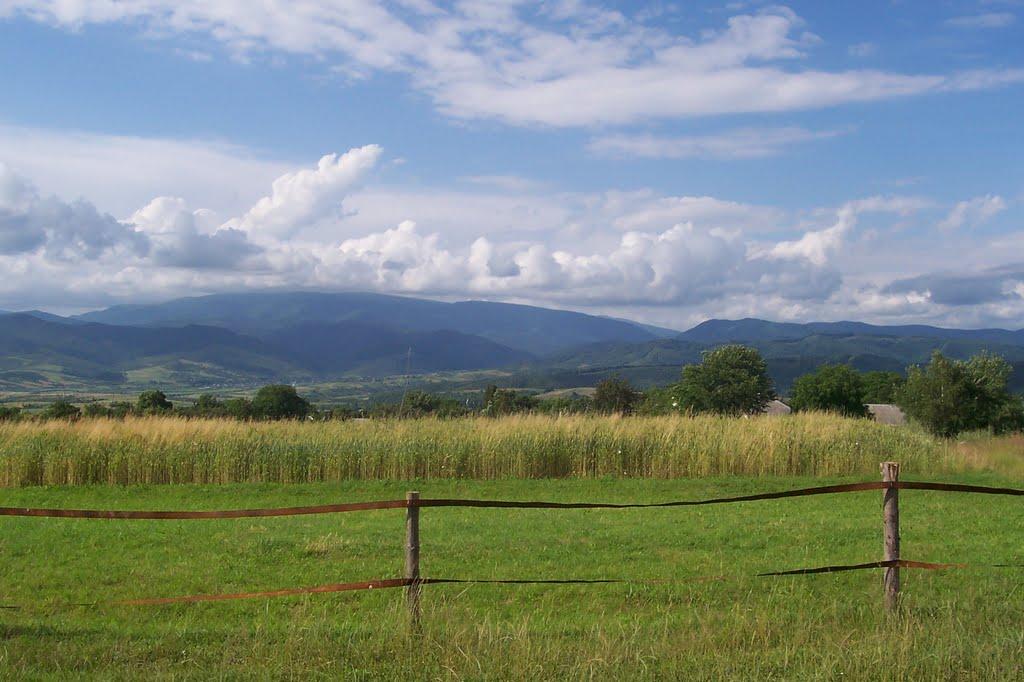 Тур'я Бистра з panoramio.com - Тур'я Бистра