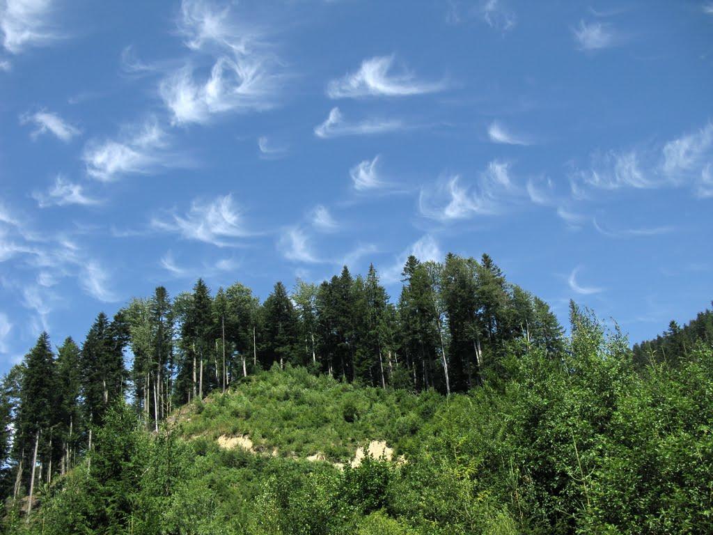 Фальків з panoramio.com (ч.2) - Фальків