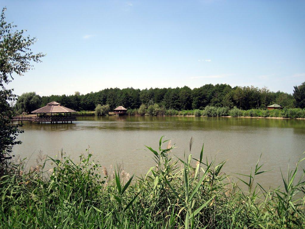 Вільхове з panoramio.com - Вільхове