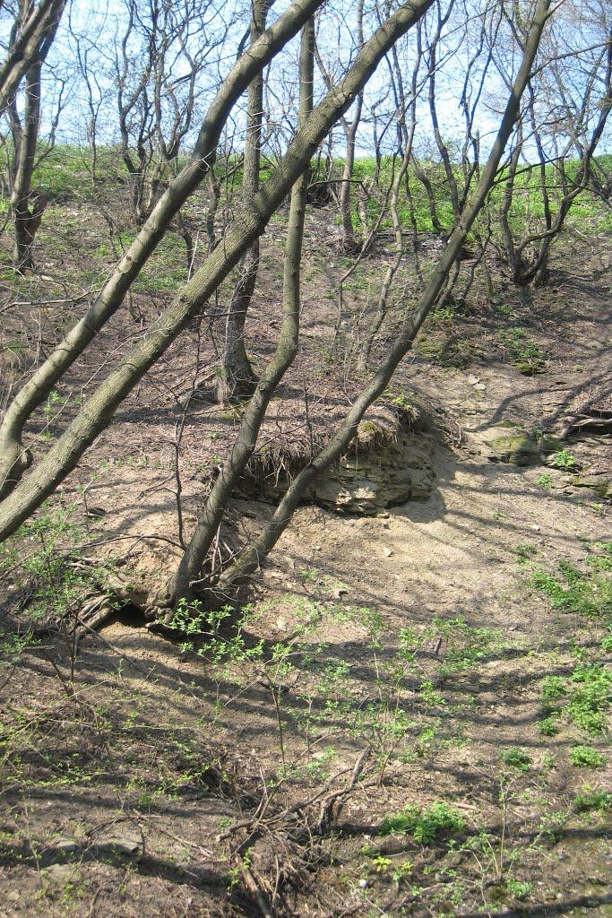 Мінеральне з panoramio.com - Мінеральне