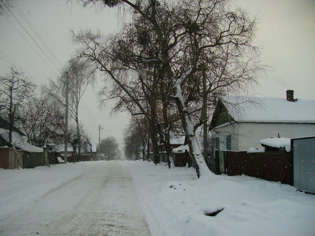 Суслівка з panoramio.com - Суслівка