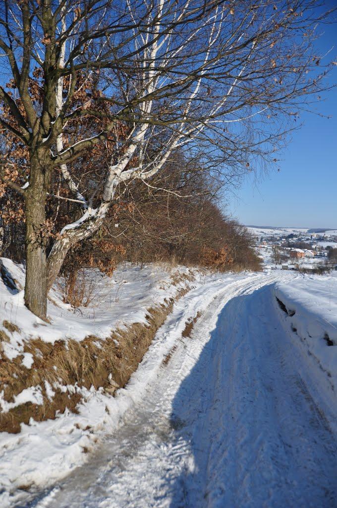 Глібовичі з panoramio.com - Glibovychi