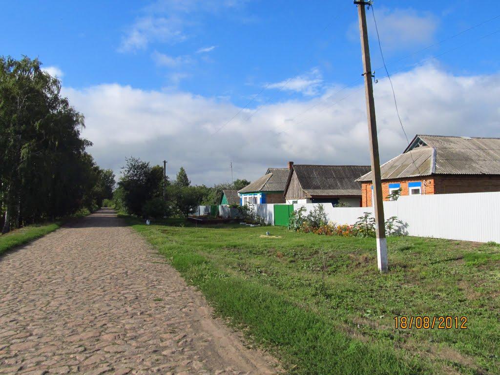 Першотравневе з panoramio.com - Першотравневе